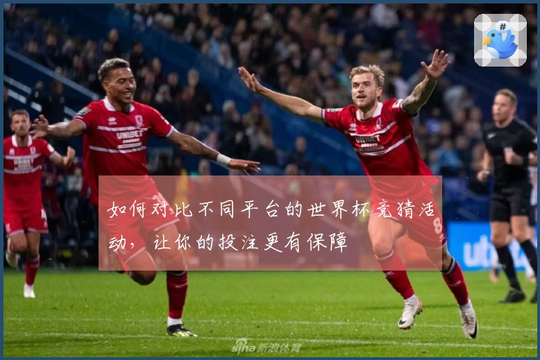 如何对比不同平台的世界杯竞猜活动，让你的投注更有保障